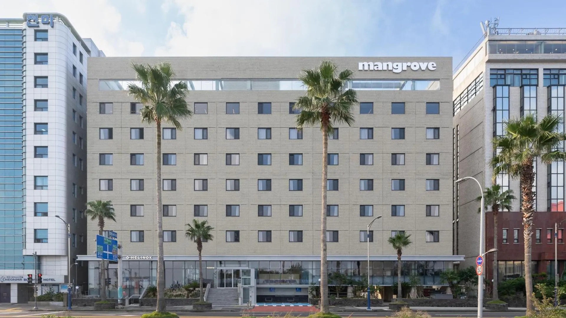 Mangrove Jeju City